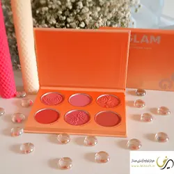 پالت شش رنگ رژگونه برند شیگلم مدل FLORAL FLUSH BLUSH