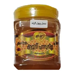 عسل چهل گیاه پارس آوین– 500 گرم