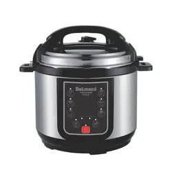 زودپز دیجیتال چند کاره دلمونتی مدل DL 490D