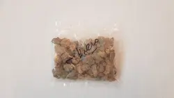 میعه یابسه