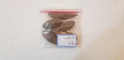 عود صلیب (فاوانیا)