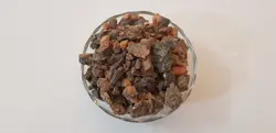 فاسوخ مغربی سیاه (فاسوخ اسود)