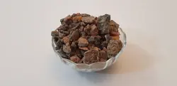 فاسوخ مغربی سیاه (فاسوخ اسود)