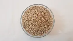 تخم گشنیز (کزبره)