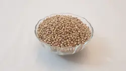 تخم گشنیز (کزبره)