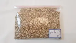 تخم گشنیز (کزبره)