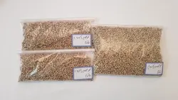 تخم گشنیز (کزبره)
