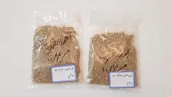بخور حضرت مریم (س)