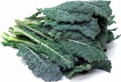 کیل توسکان   Tuscan Kale