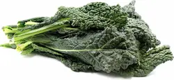 کیل توسکان   Tuscan Kale