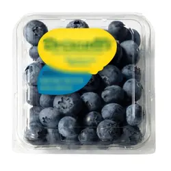بلوبری تازه Blueberry