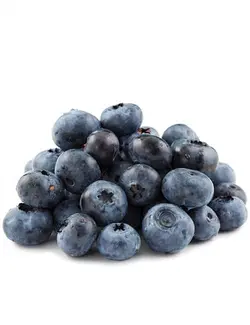 بلوبری تازه Blueberry