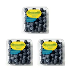 بلوبری تازه بسته ۳ عددی Blueberry