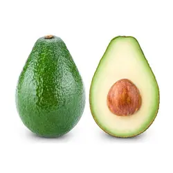 آووکادو ترک و کنیا Avocado