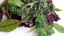 میکس سبزیجات سالادی   Salad Greens Mix
