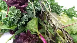 میکس سبزیجات سالادی   Salad Greens Mix
