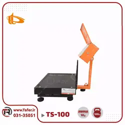 باسکول 100 کیلوگرم پیام توزین مدل TS-100