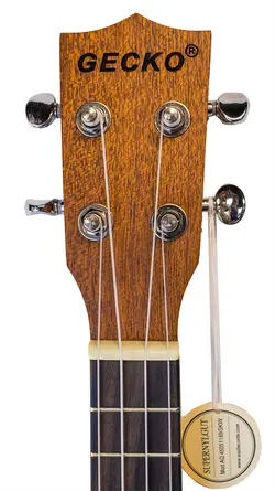 یوکللی جکو GECKO