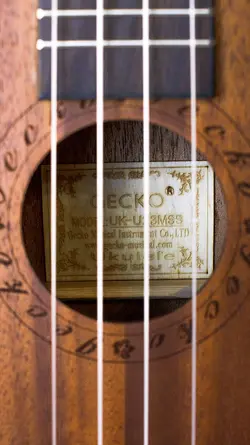 یوکللی جکو GECKO