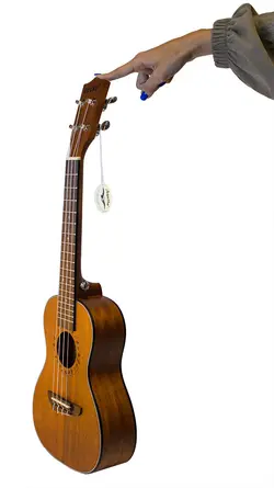 یوکللی جکو GECKO