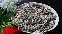 67960204 _ طرح توجیهی تولید و بسته بندی تخمه سفید و سیاه آفتابگردان سال 96