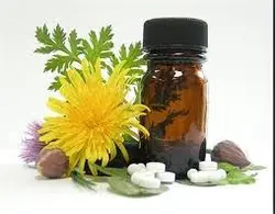 67145 _ طرح توجیهی عصاره گیری از گیاهان دارویی به ظرفیت 102 تن در سال اسفند 93