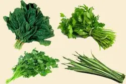 67136  _ طرح توجیهی احداث سردخانه 2000 تنی و سورتینگ و بسته بندی میوه و قارچ و سبزی بهمن 93