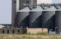 67118 - طرح توجیهی  خوراک دام و طیور 5 تن فروردین 93