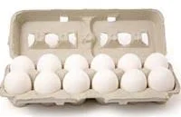 20217 - طرح توجیهی بسته بندی تخم مرغ