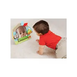 آینه نوزاد اسکیپ هاپ | SkipHop