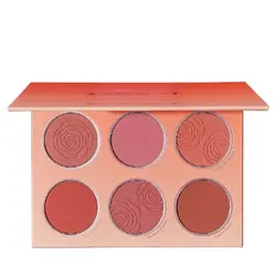 پالت رژگونه شیگلم رنگ Floral Flush