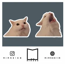 استیکر Cat Meme - MIMRE
