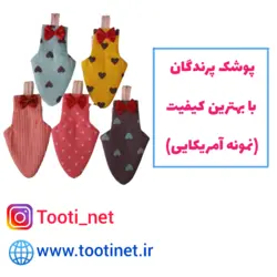 پوشک عروس هلندی