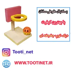 بسکتبال طوطی سانان