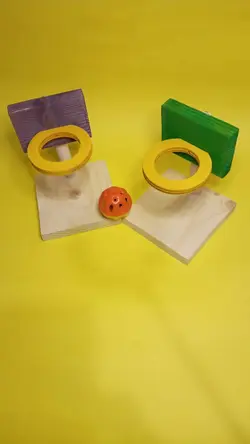 بسکتبال طوطی سانان