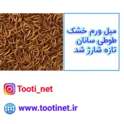 خرید میل ورم طوطی ها