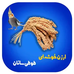 ارزن خوشه ای طوطی ها