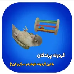 گردونه چوبی طوطی ها