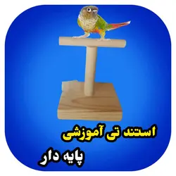 استند تی پایه دار طوطی