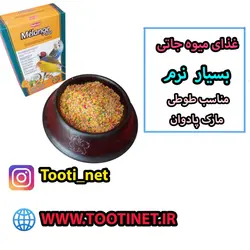 غذای نرم میوه جاتی پادوان طوطی ها