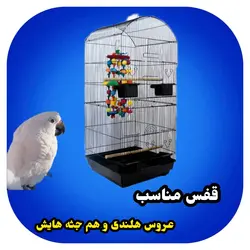 خرید قفس طوطی ها