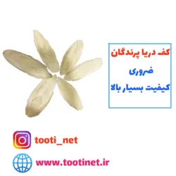 کف دریا برای پرندگان