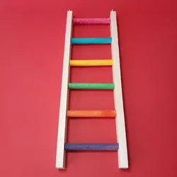 نردبان طوطی سانان