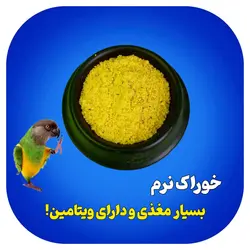 غذای نرم عروس هلندی - طوطی ها
