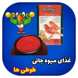 غذای میوه جاتی طوطی ها