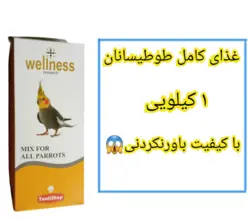 غذای طوطی سانان