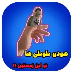 هودی طوطی ها