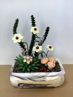 بنسا کاکتوس - گروه گل نفیس