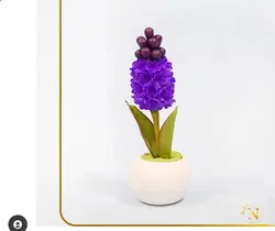 سنبل کروی - گروه گل نفیس