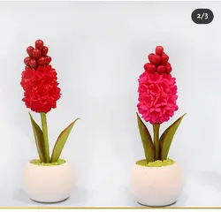 سنبل کروی - گروه گل نفیس